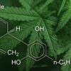 The medical use of Cannabis and its derivatives